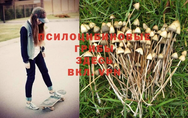 бошки Волоколамск