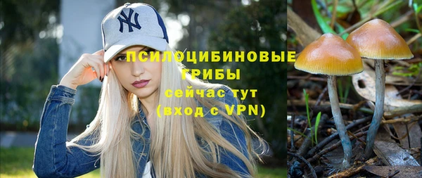 бошки Волоколамск