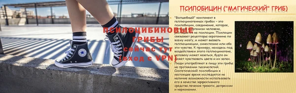 Альфа ПВП Володарск